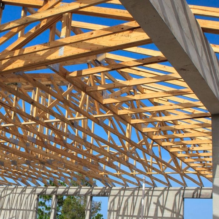 Buildable Truss Layout from Akarana Timbers